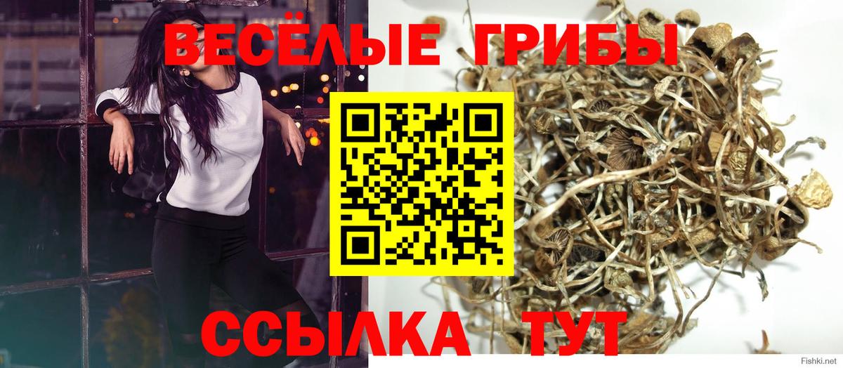 Псилоцибиновые грибы прущие грибы Новый Уренгой